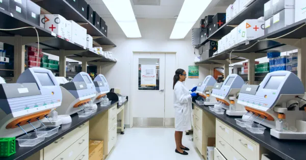 文心一言(智能创作助手) 文心一言(智能创作助手)