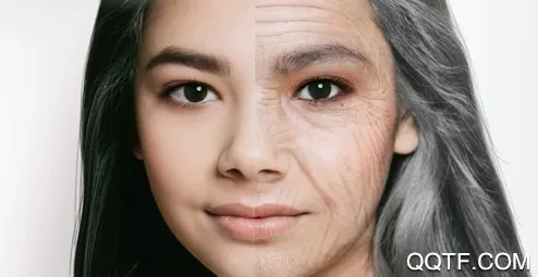 Z相机安卓版手机版 Z相机安卓版手机版