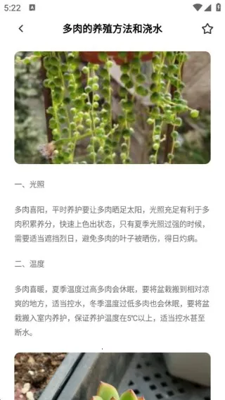 花朵物语时光(植物养护识) 花朵物语时光(植物养护识)