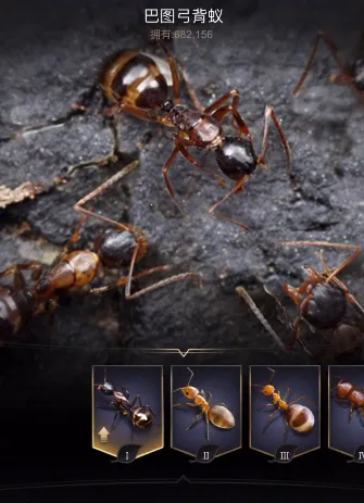 小小蚁国2025官方最新版本 小小蚁国2025官方最新版本