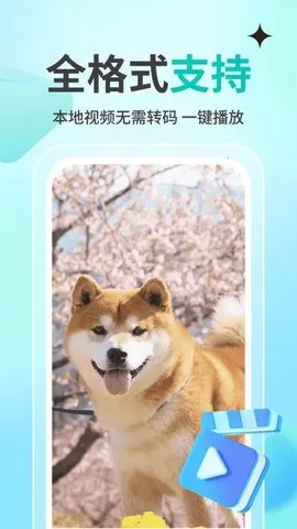 ˽˹Ӱplayer2025°汾v1.1.4 ֻͼ