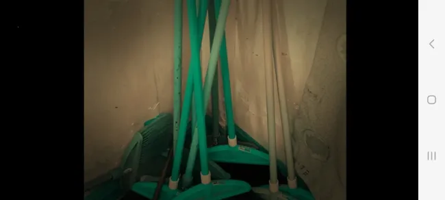 ɻУԹ2025ٷ°汾v1.0 ٷͼ