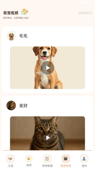 狗猫交流翻译2025下载安装 狗猫交流翻译2025下载安装