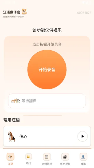 狗猫交流翻译2025下载安装 狗猫交流翻译2025下载安装