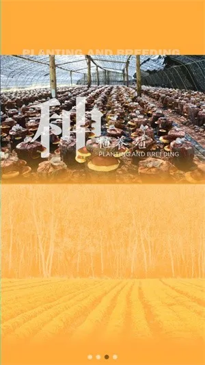 ɭũ(ũۺϷ)v1.0.12 ׿ͼ