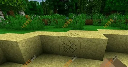 Survivalcraft 2.4(沙盒生存游戏) Survivalcraft 2.4(沙盒生存游戏)