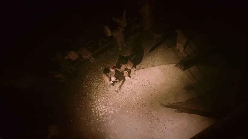 Ҵ򲻹Ư(˻Ϸ)v3.1.0 ٷͼ