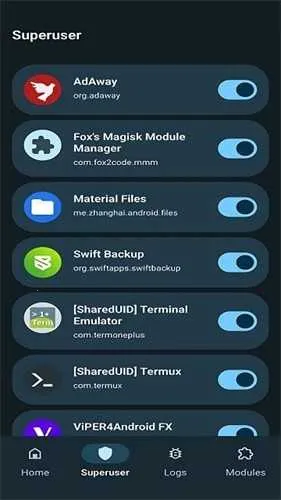 Magisk2025ذװv6.1.1.r13-unofficial ٷͼ