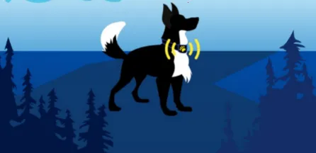 �����������ֻ���