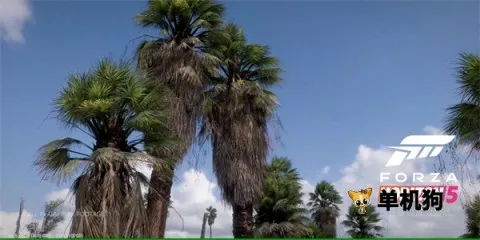 ��ƽ��5�������������ֻ���