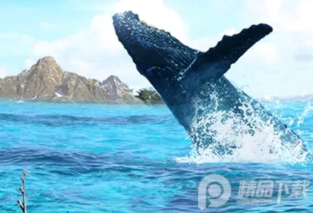 ��������(����ģ����Ϸ)