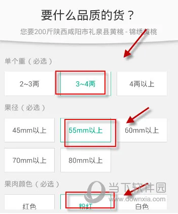 һĶ��2025���ذ�װ