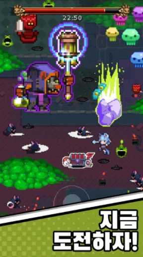 èŮ����2025�ٷ�����