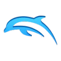 Dolphin Emulator��׿���ֻ���v2509 ��Ѱ�