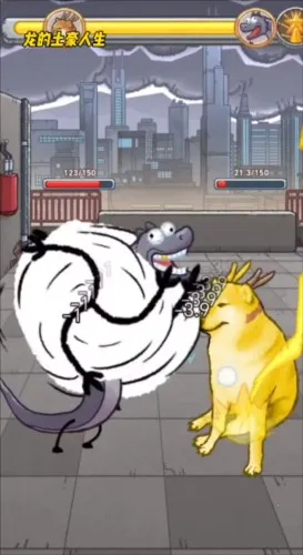 ������������2025���ذ�װ