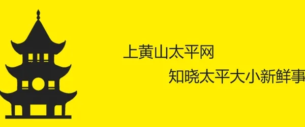 太平网安卓版手机版 太平网安卓版手机版