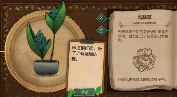 奇异园艺(植物解谜游戏) 奇异园艺(植物解谜游戏)