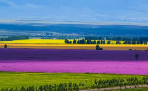 Ѱ�����2025���ذ�װ