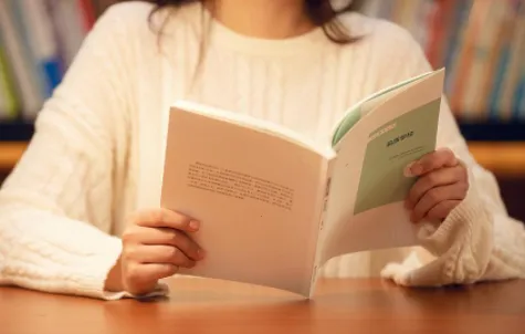 ����С˵(С˵�Ķ�����)