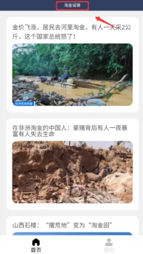 淘金城镇(模拟经营游戏) 淘金城镇(模拟经营游戏)