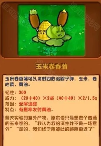 ֲ���ս�ӽ�2025�ٷ����°汾