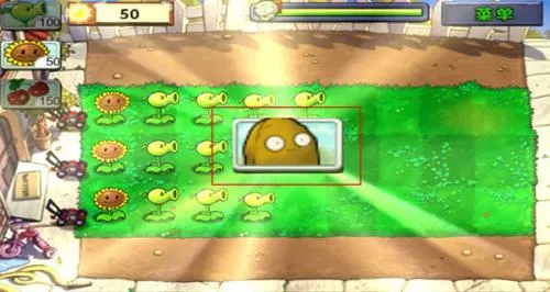 ֲ���սֲ���ϰ汾