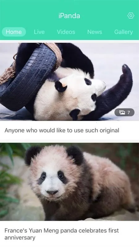 iPanda2025�ٷ�����