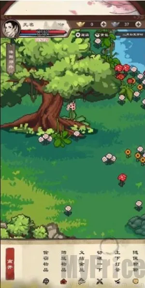 ����Ⱥ����(������������)