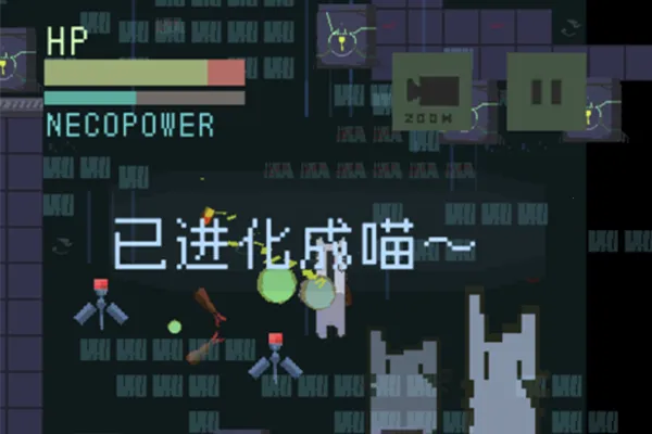 猫咪狂想曲2026官方正版 猫咪狂想曲2026官方正版