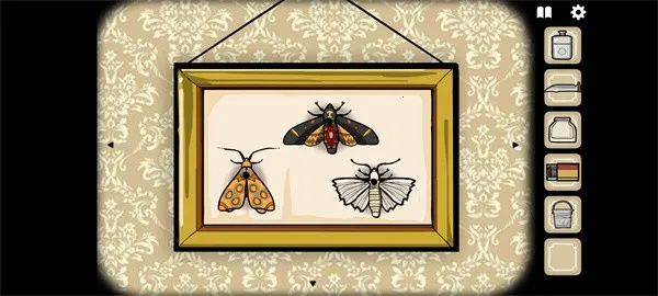 ����Ƶ�(���ո�����Ϸ)