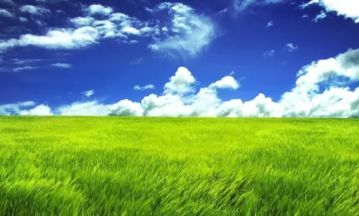 ����(������¼����)