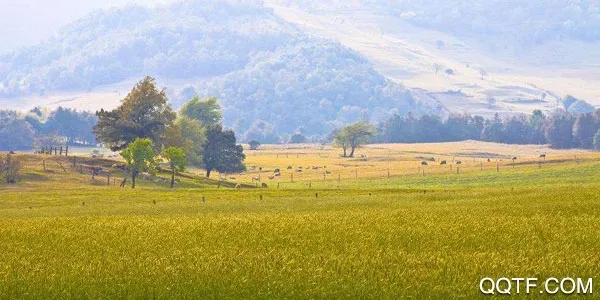 Ѱ����ý2026�ٷ����°汾