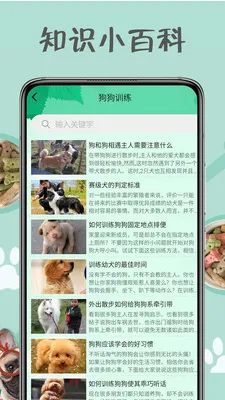 С����������׿���ֻ���v1.0.0 ��Ѱ��ͼ