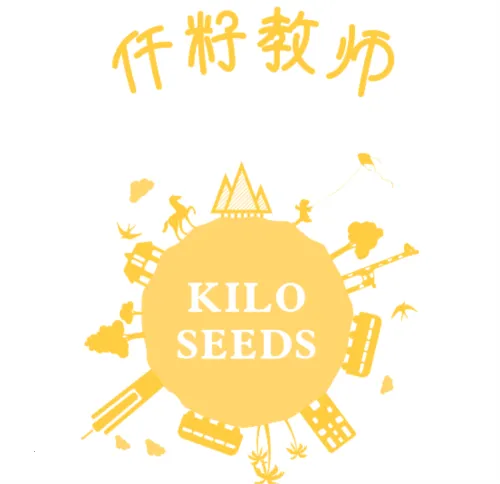 Ǫ��2026�ٷ�����