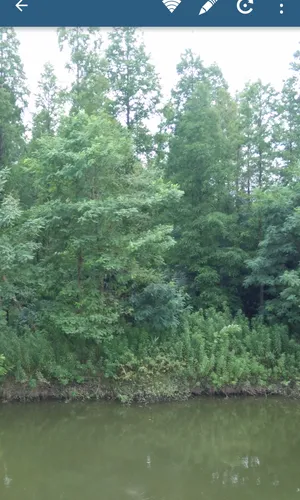 ��Ƭ��2026���ذ�װv80.12.18.2023 �ֻ����ͼ