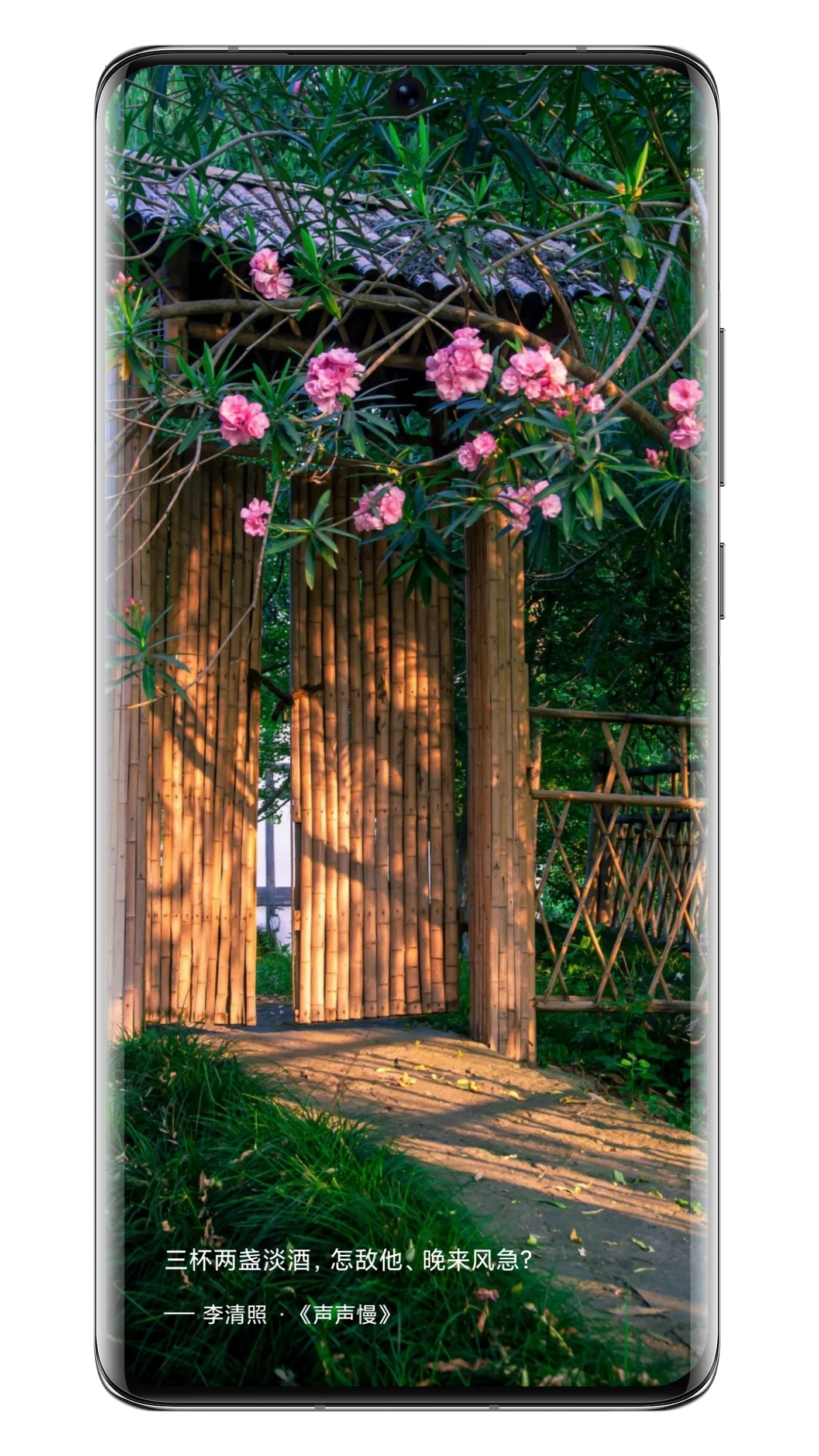 ʫ��֮��vv3.0.8 �ٷ����� ��׿���ͼ