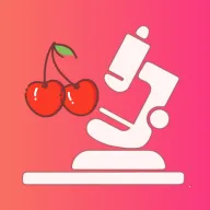 ӣ��ҽ��2026�ٷ�����v1.5.1 �ٷ�����