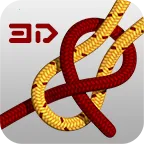 Knots 3D