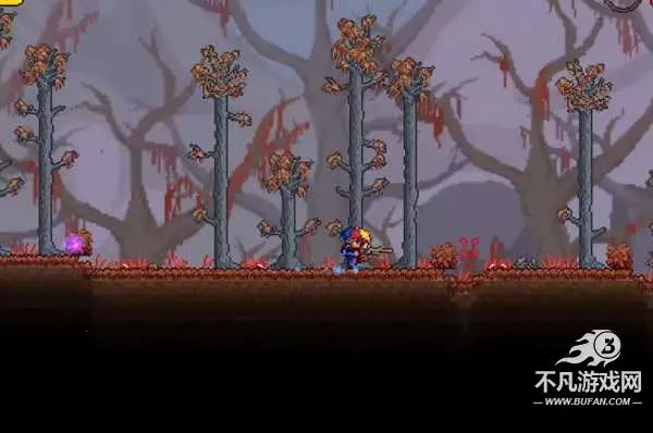 Terraria