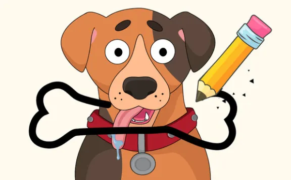 ����һ����2026���°汾