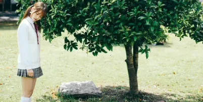 ���2026�ٷ�����