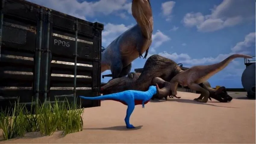 ��������2026�ٷ�����