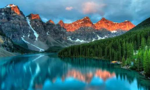 Procreate�滭��ͼ�����ֻ���