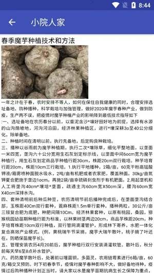 СԺ�˼�2026�ٷ����°汾