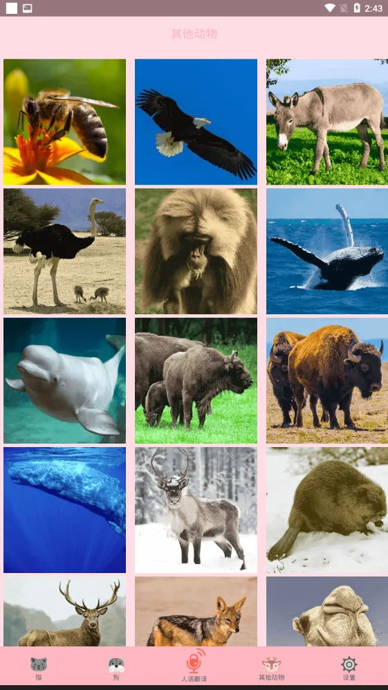 ���﷭����v3.4 ��׿���ͼ