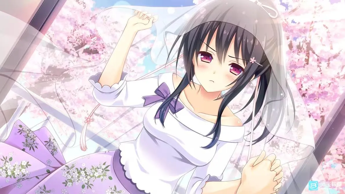 ����֮��������