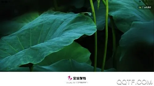 ���������׿���ֻ���