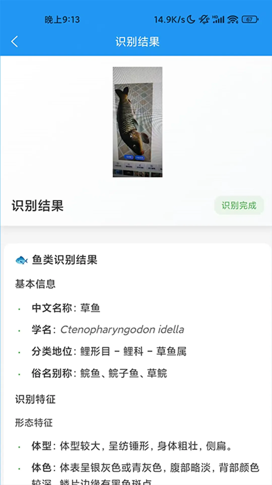 ʶ��2026�ٷ�����v1.0.7 �ֻ����ͼ