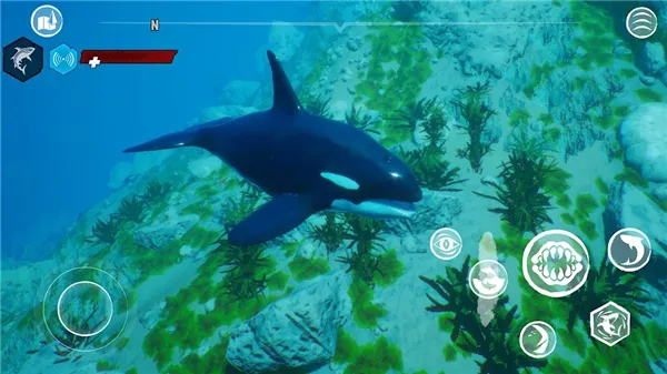 ʳ�����ֻ���v1.4.2 �ֻ����ͼ