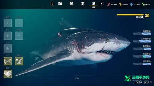 ʳ�����ֻ���